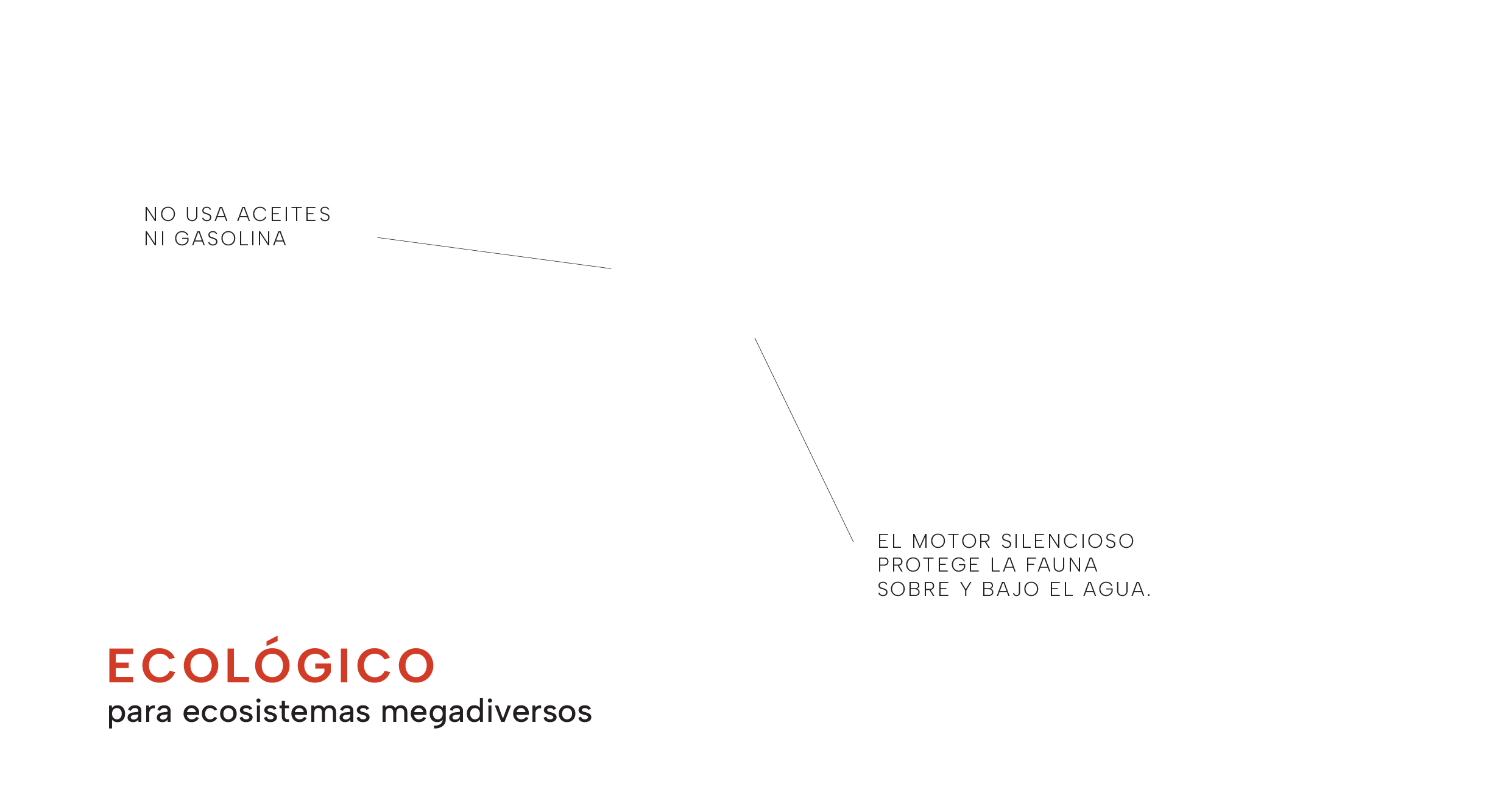 peque 1Artboard 33@3x